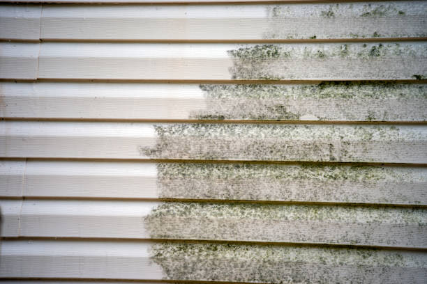 Best Furniture Removal  in Dunkirk, NY