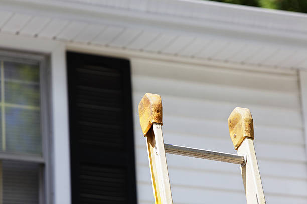 Best Carpet Removal and Disposal  in Dunkirk, NY