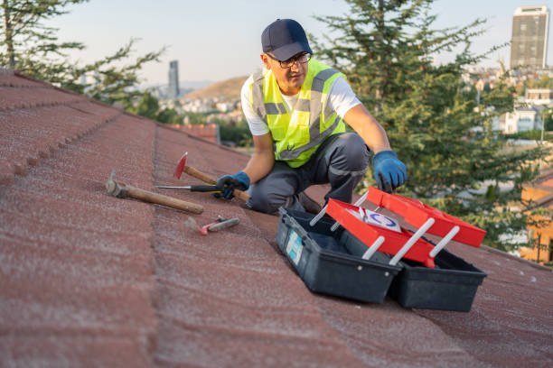 Best Property Management Cleanouts  in Dunkirk, NY